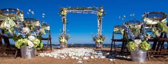Stunning Birch Wood Wedding Arbor for your Florida Beach Wedding