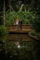 Michelle & Nicholas - Jeannie Capellan Photography -153