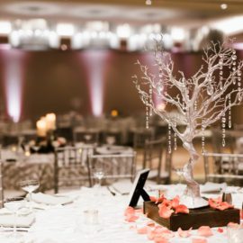 St. Augustine Receptions and Events